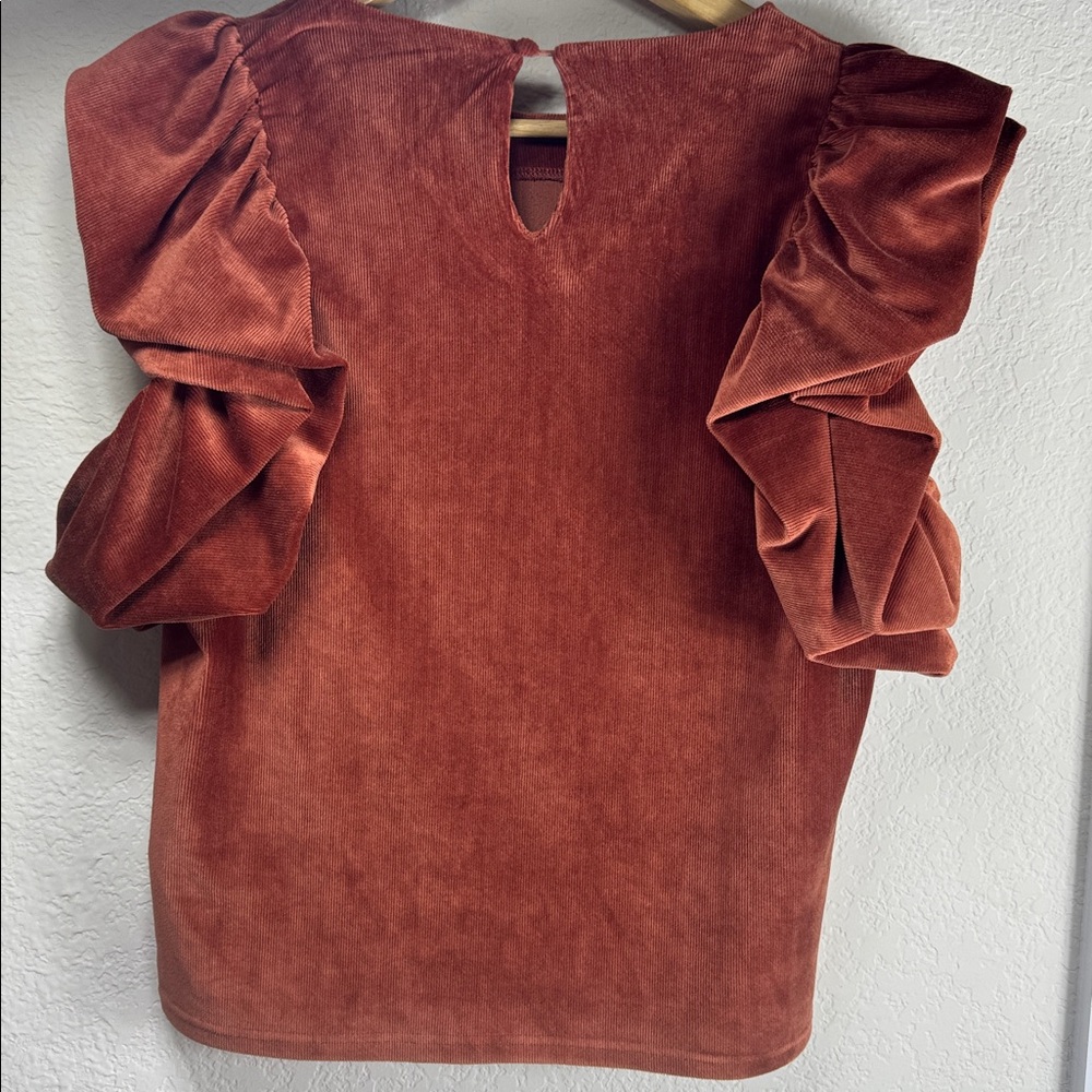 THML Rust Velvet Ruffle Sleeve Top - Picture 5 of 6